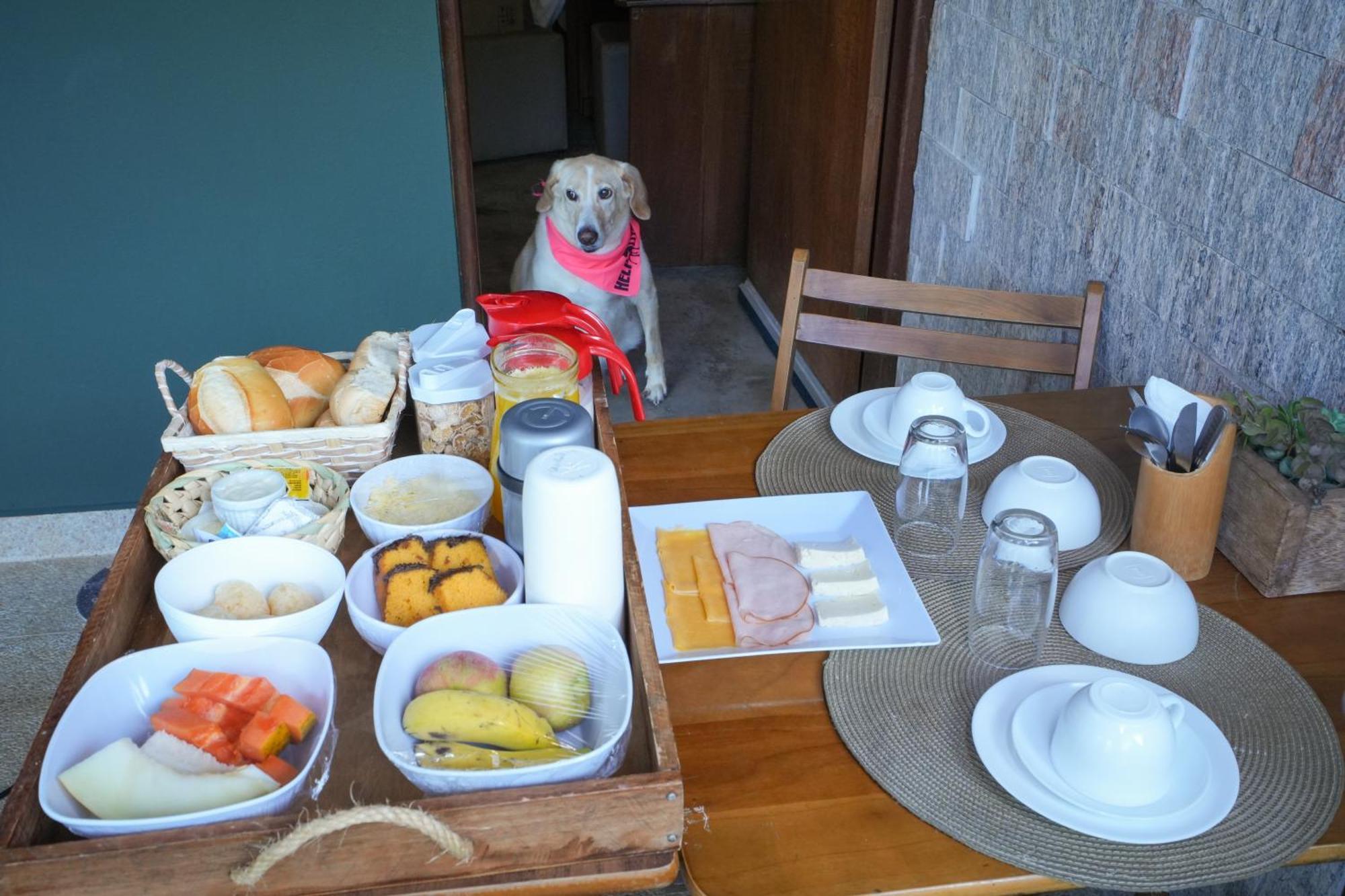 Guest house Aye Boutique Petfriendly 2*