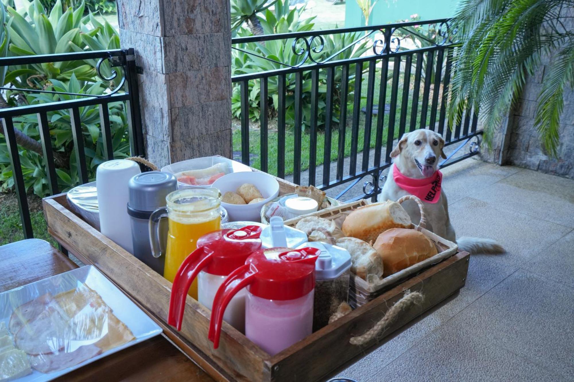Guest house Aye Boutique Petfriendly 2*