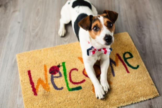 Aye Boutique Petfriendly Guest house 2*